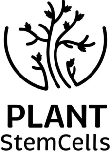 PLANT STEM CELLS logo
