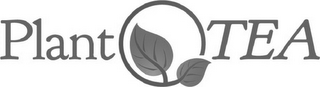 PLANT TEA logo