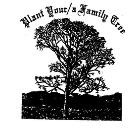 PLANT YOUR/A FAMILY TREE logo
