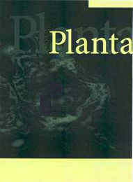 PLANTA logo