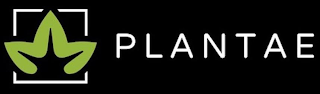 PLANTAE logo