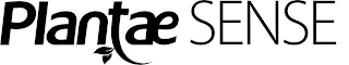 PLANTAE SENSE logo