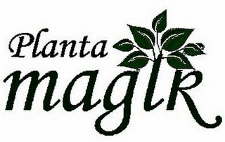 PLANTAMAGIK logo