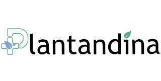 PLANTANDINA logo