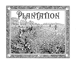 PLANTATION logo