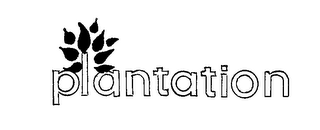 PLANTATION logo