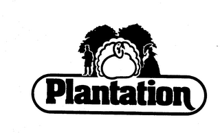 PLANTATION logo