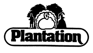 PLANTATION logo