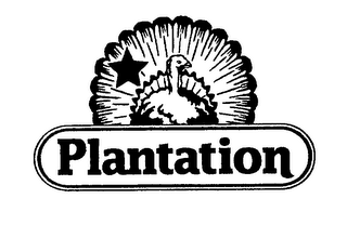 PLANTATION logo