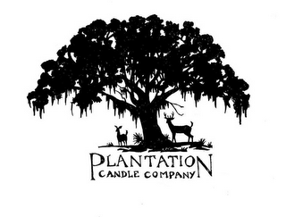 PLANTATION CANDLE COMPANY logo