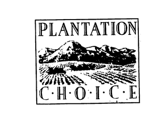 PLANTATION CHOICE logo