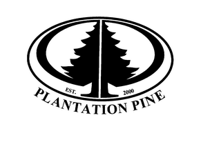 PLANTATION PINE EST. 2000 logo