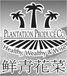 PLANTATION PRODUCE CO. HEALTHY, WEALTHY & WISE logo