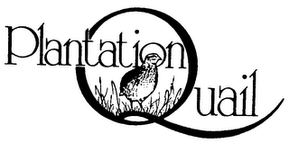 PLANTATION QUAIL logo
