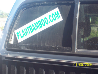 PLANTBAMBOO.COM logo