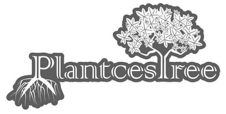 PLANTCESTREE logo