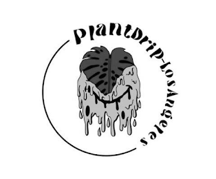 PLANTDRIP - LOSANGELES logo