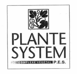 PLANTE SYSTEM COMPLEXE VEGETAL P.E.S. logo