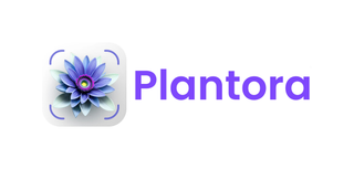 PLANTORA