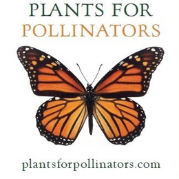 PLANTS FOR POLLINATORS PLANTSFORPOLLINATORS.COM logo