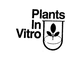PLANTS IN VITRO logo