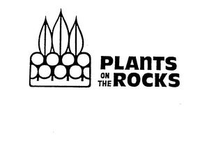 PLANTS ON THE ROCKS logo