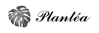 PLANTÉA logo