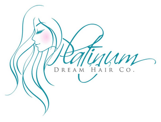 PLATINUM DREAM HAIR CO. logo