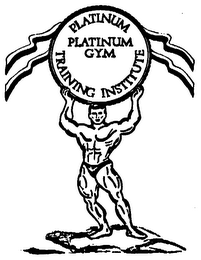 PLATINUM GYM PLATINUM TRAINING INSTITUTE logo