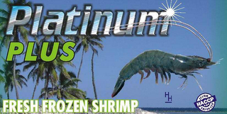 PLATINUM PLUS logo