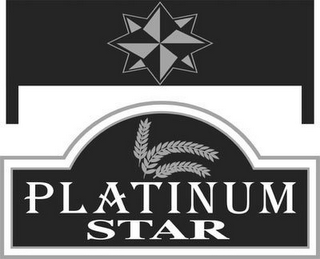 PLATINUM STAR logo