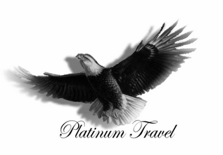 PLATINUM TRAVEL logo