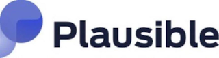 PLAUSIBLE logo