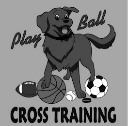PLAY BALL CROSS TRAINING logo