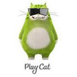 PLAY CAT logo