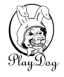PLAY DOG logo