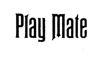 PLAY MATE logo