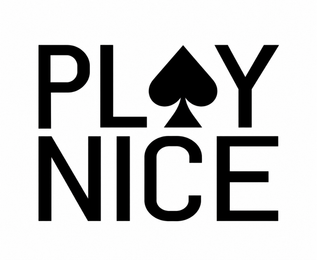PLAY NICE logo