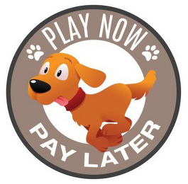 PLAY NOW PAY LATER logo