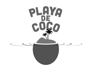 PLAYA DE COCO logo