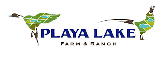 PLAYA LAKE FARM & RANCH logo