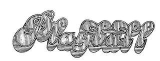PLAYBALL logo