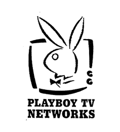 PLAYBOY TV NETWORKS logo