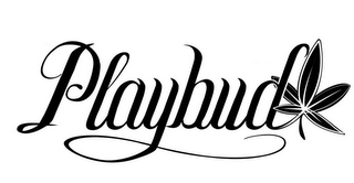 PLAYBUD logo
