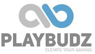 PLAYBUDZ ELEVATE YOUR GAMING logo