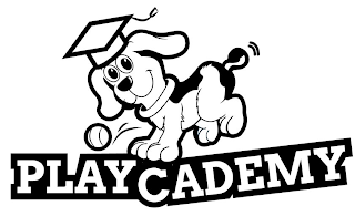 PLAYCADEMY logo