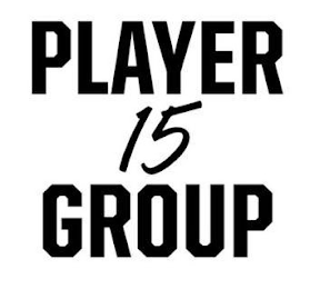 PLAYER 15 GROUP logo