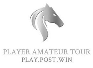 PLAYER AMATEUR TOUR PLAY.POST.WIN logo