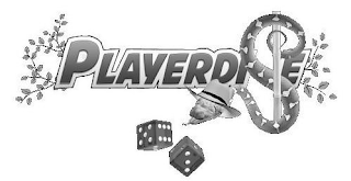 PLAYERDISE logo