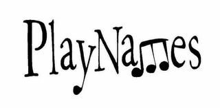PLAYNAMES logo